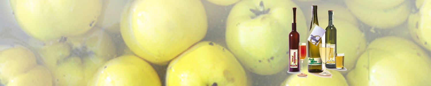 Quitten_kl_rot